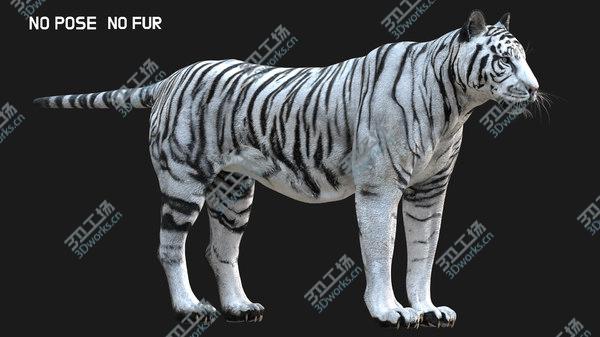 images/goods_img/20210312/3D White Tiger Fur/5.jpg